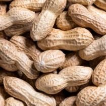 Peanut Roasted, 500 G (In Shell)